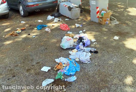 Viterbo - L’immondizia dopo il passaggio dei cinghiali in via Monte Cervino