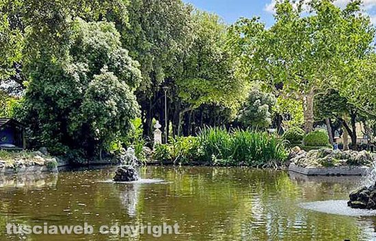 Viterbo - La vasca di pratogiardino Lucio Battisti - Le piante acquatiche prima dell'intervento dell'assessore Stefano Floris