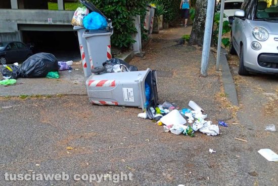 Viterbo - Rifiuti rovesciati in via Monte Cervino