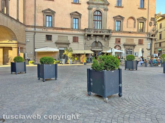 Viterbo - La fioriera danneggiata in piazza del comune