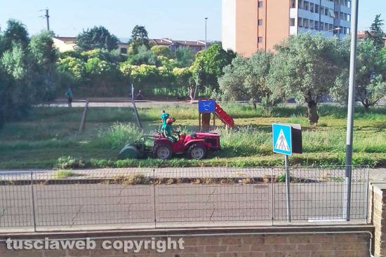 Viterbo - Il taglio dell'erba nel giardino pubblico in via Antonello da Messina