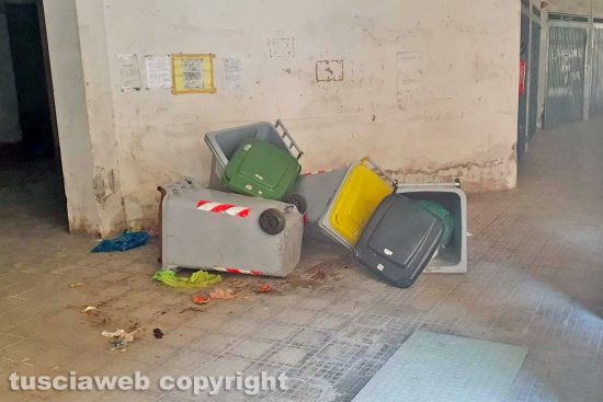 Viterbo - Il condominio di via Genova dopo la visita dei cinghiali