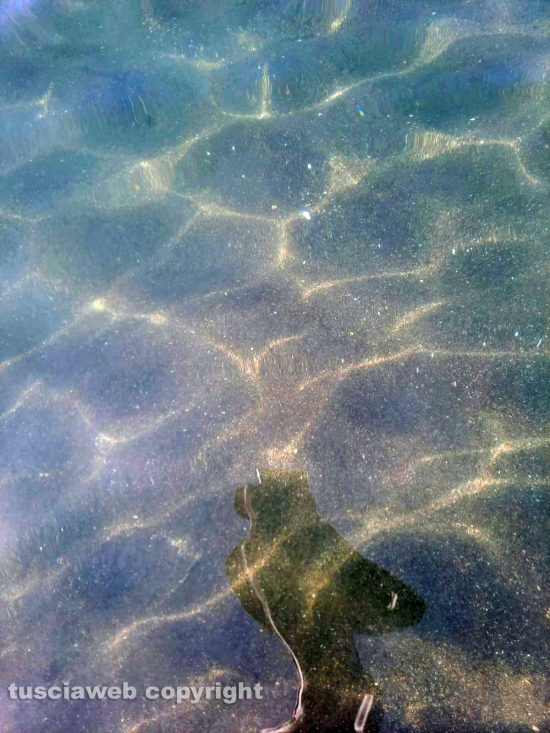 Montalto di Castro - L'acqua del mare