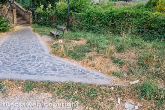 Viterbo - Incuria nel parcheggio sotto Villa Lante