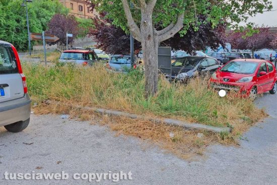 Viterbo - Incuria nel parcheggio sotto Villa Lante