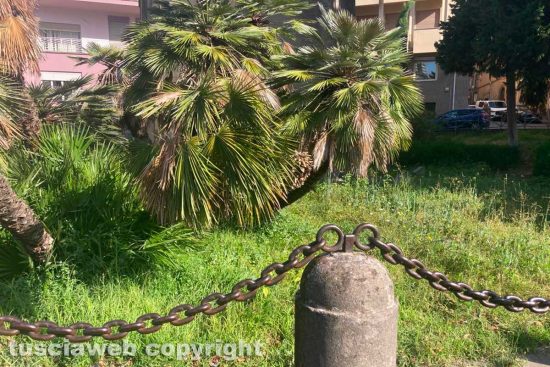 Viterbo - Incuria al monumento ai Caduti al Sacrario