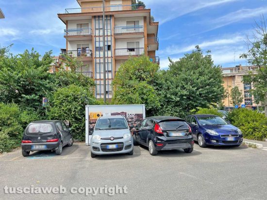 Viterbo - Il raccoglitore di bottiglie di plastica