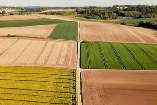 Nasce il Biodistretto dei Colli Etruschi di Montalto e Tuscania