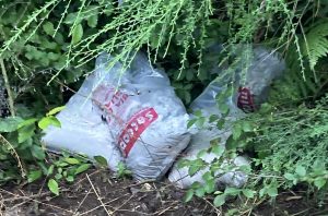 Caprarola - Rifiuti abbandonati e recuperati dall’associazione Cinghiale bianco