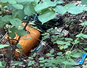 Caprarola - Rifiuti abbandonati e recuperati dall’associazione Cinghiale bianco