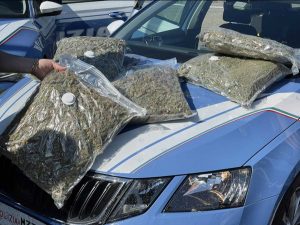 Orvieto - Sequestrati oltre 60 kg di droga dalla stradale 