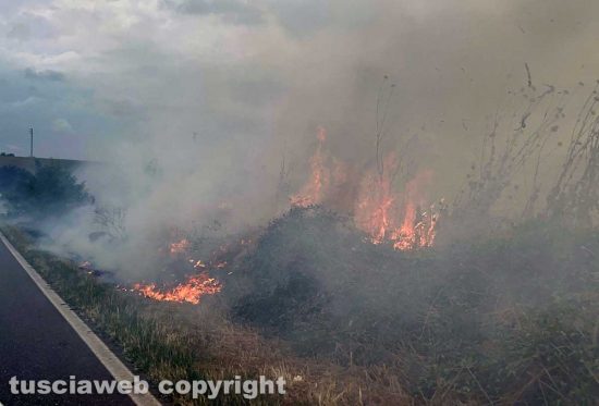 Tuscania - Incendio a bordo strada