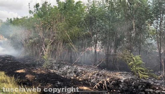 Tuscania - Incendio a bordo strada