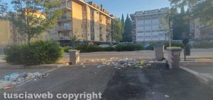 Viterbo - Cassonetti rovesciati dai cinghiali in via Genova