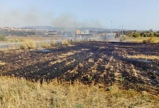 Tarquinia - Incendio di sterpaglie lungo l'autostrada