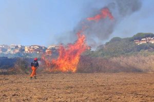Due incendi a Tarquinia - L'Aeopc in azione