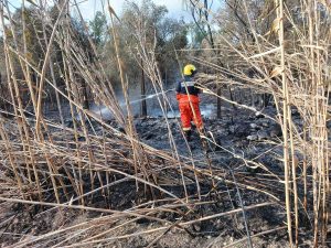 Tarquinia - Sterpaglie in fiamme alla Farnesiana - Aeopc in azione