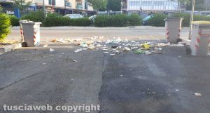 Viterbo - Cassonetti rovesciati dai cinghiali in via Genova
