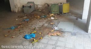 Viterbo - Cassonetti rovesciati dai cinghiali in via Genova