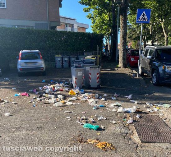 Viterbo - Via Monte Cervino - Il 2 agosto dopo il passaggio della raccolta