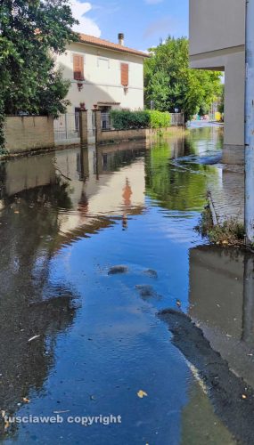 Viterbo - Parte di via Gorizia allagata