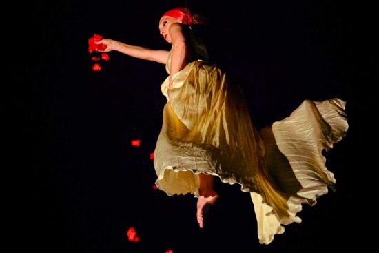 Vasanello - Lo spettacolo di danza acrobatica