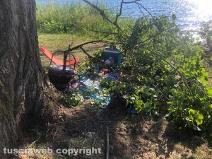 Montefiascone - Parte di un albero caduto al lago di Bolsena