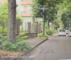 Viterbo - Erbacce e buche in viale IV Novembre