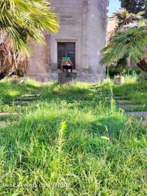 Viterbo - Degrado al Sacrario