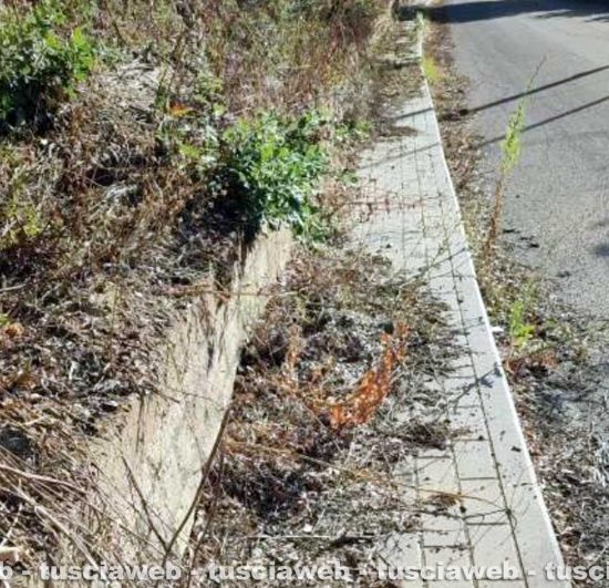 Graffignano - Incuria nella frazione di Sipicciano