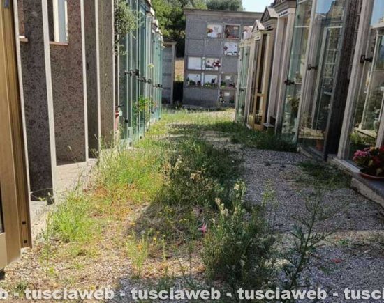Graffignano - Incuria nella frazione di Sipicciano