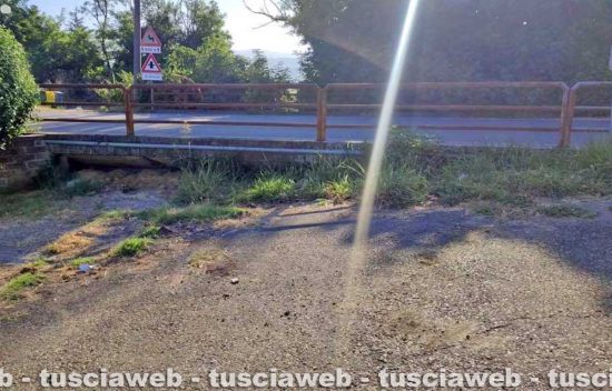 Graffignano - Incuria nella frazione di Sipicciano