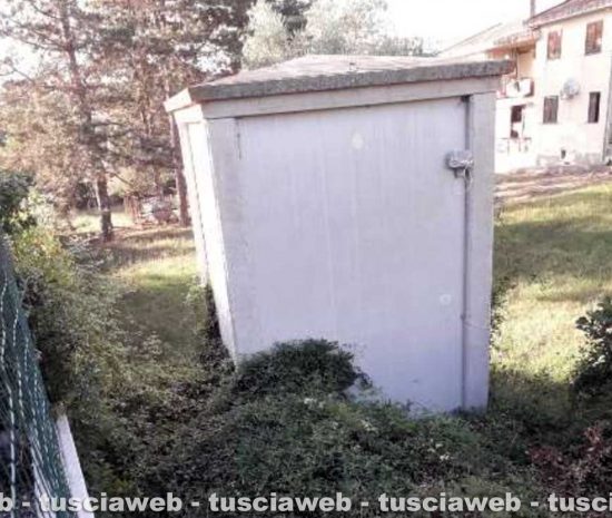 Graffignano - Incuria nella frazione di Sipicciano