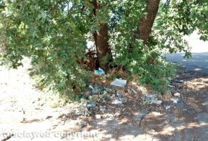Viterbo - Quercia piena di rifiuti abbandonati