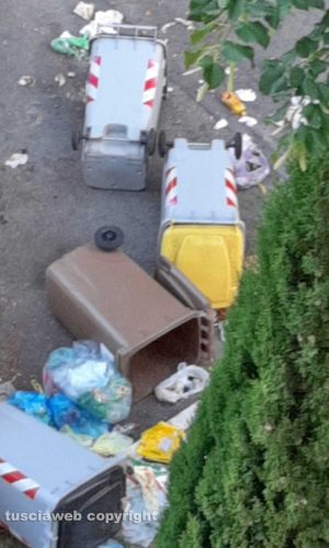 Viterbo - Via IV Novembre - I secchioni dell’immondizia ribaltati dai cinghiali