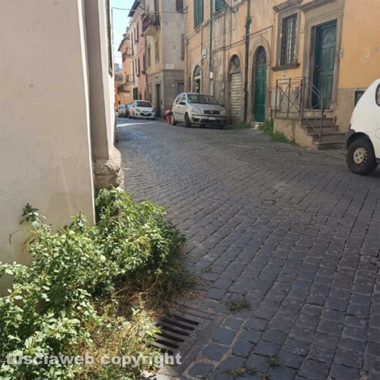 Via Larga, via del Pavone e zone limitrofe