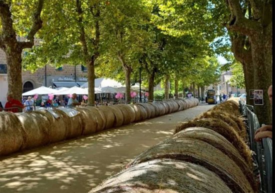 Vejano - Antico palio città di Viano