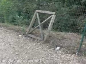 Mazzano Romano - Degrado al parco del Treja