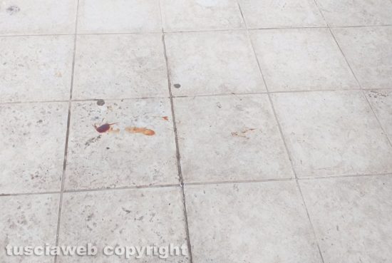 Civitavecchia - Terrazza Guglielmi nel degrado 