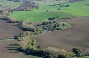 Torrente Arrone