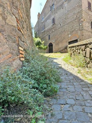 Viterbo - Via delle Caprarecce
