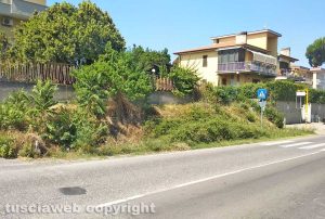 Viterbo - Erbaccia secca a bordo della strada Teverina