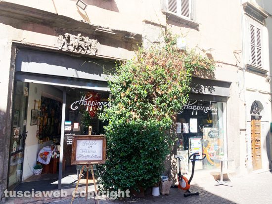 Viterbo - Ferragosto in città - il bar Happiness