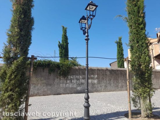 Viterbo - Piazza della Trinità, cavi dell'illuminazione legati tra un cipresso e l'altro