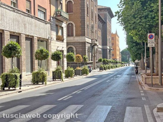 Viterbo - Fioriere secche in via Marconi