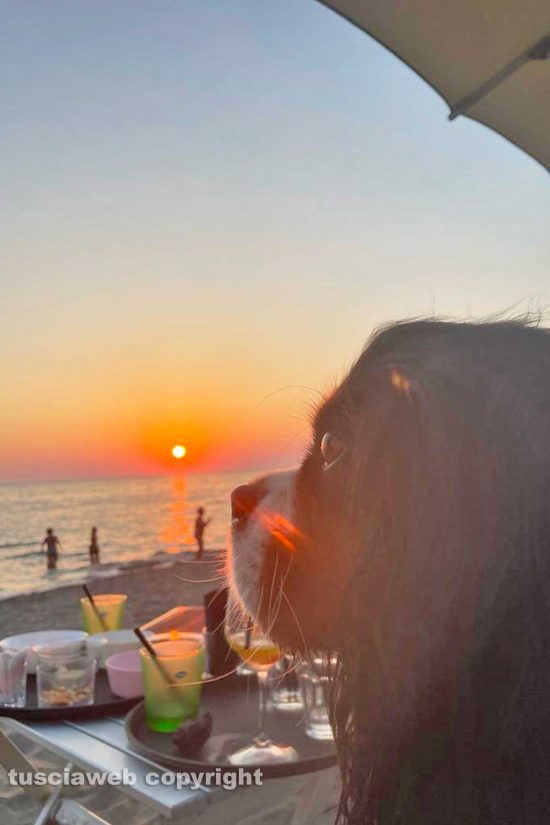 Tarquinia - Un tramonto e Wendy