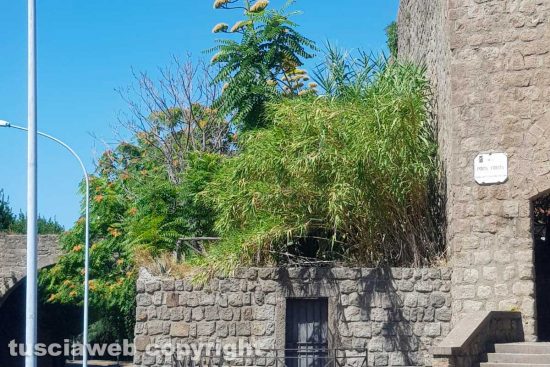 Viterbo - Incuria a Porta Fiorita