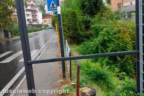 Orte - Incuria nelle pensiline delle fermate degli autobus