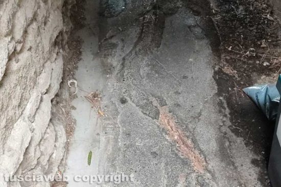 Viterbo - Incuria a Sant'Angelo di Roccalvecce