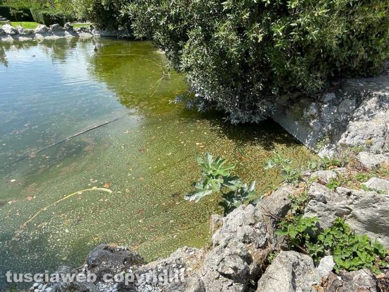 Pratogiardino Lucio Battisti - La vasca principale svuotata e riempita di nuovo - Fogna era e fogna rimane